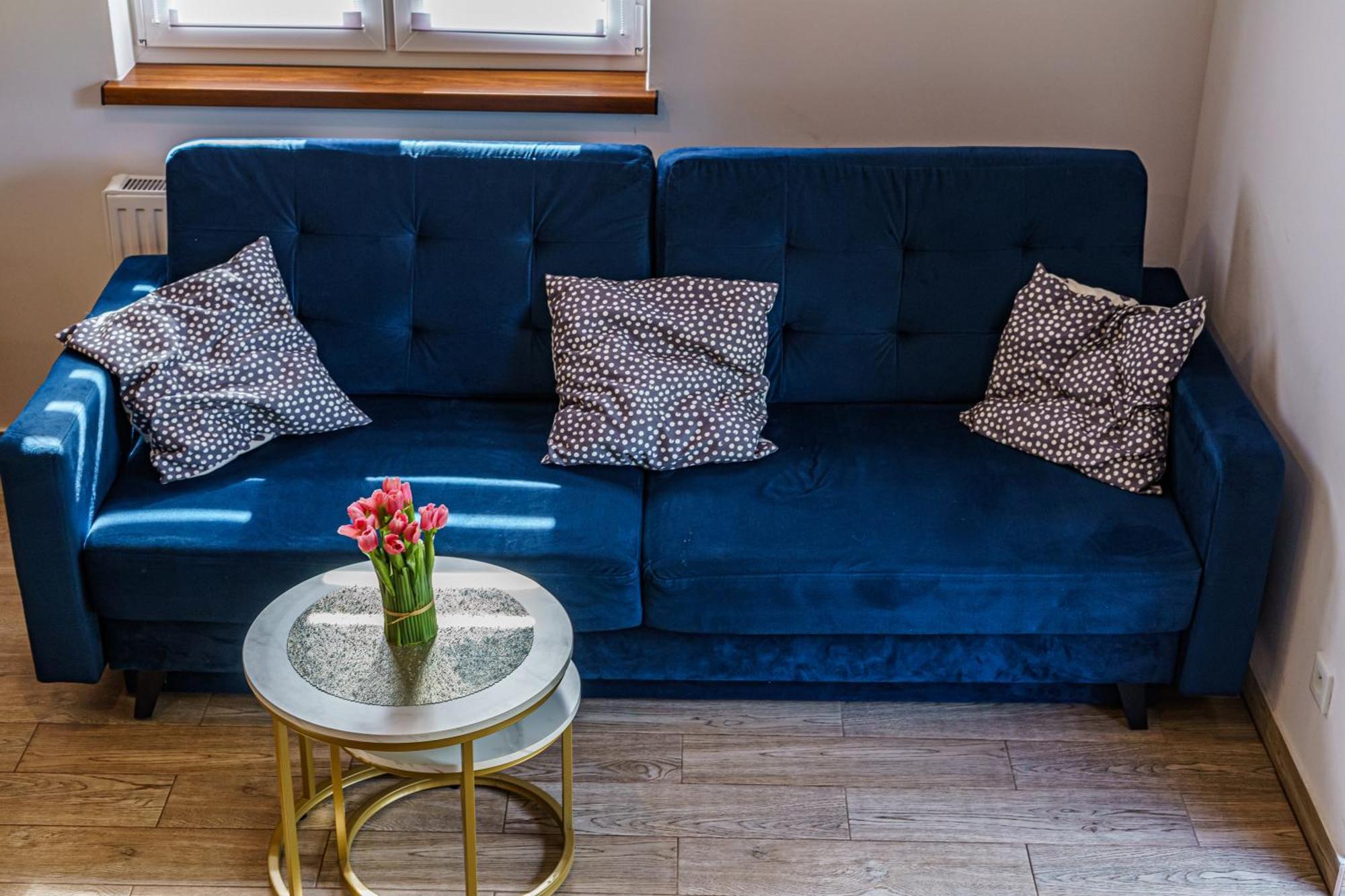 Apartamenty Kolo Brzegu غونسكي المظهر الخارجي الصورة